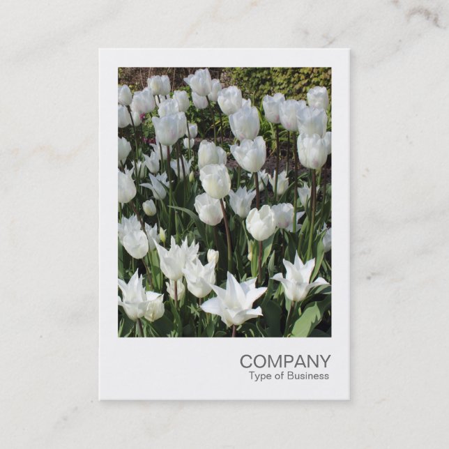 Instant Photo 090 - White Tulips Business Card (Front)
