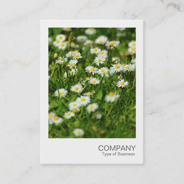 Instant Photo 091 - Daisy Meadow Business Card (Front)