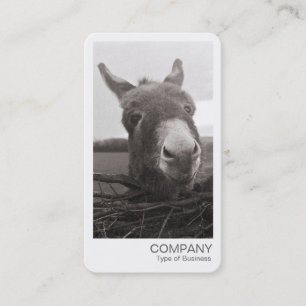 Instant Photo - Friendly Donkey Business Card