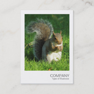 Instant Photo - Grey Squirrel Eating Nuts Business Card