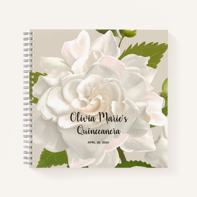 Instant Photo Message Quinceañera Guest Book (Front)