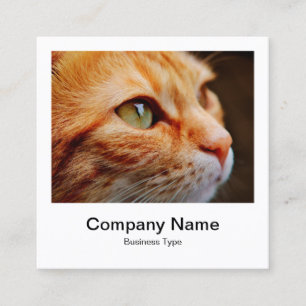 Instant Photo Style - Company - Ginger Cat Square Business Card