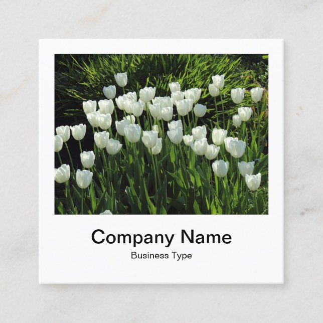 Instant Photo Style - Company - White Tulips Square Business Card (Front)
