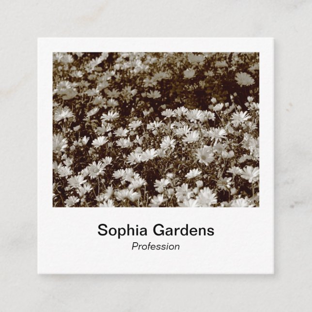 Instant Photo Style - Daisies Square Business Card (Front)
