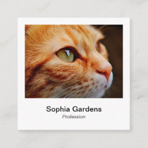 Instant Photo Style - Ginger Cat Square Business Card