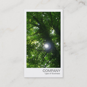 Instant Photo - Sun Through the Trees Business Card