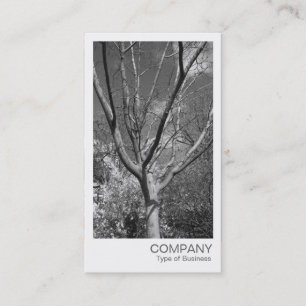 Instant Photo - Tree in the Sun Business Card