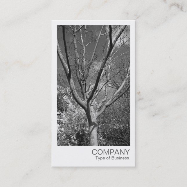 Instant Photo - Tree in the Sun Business Card (Front)