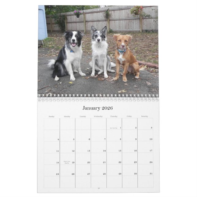 Instantanés du calendrier de l'asile de fous 2012 (Jan 2026)