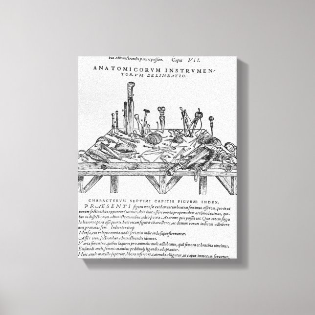 Instruments for Dissections, illustration from 'De Canvas Print (Front)