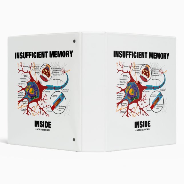 Insufficient Memory Inside Neuron Synapse Humour Binder (Background)