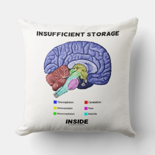 Insufficient Storage Inside Brain Anatomy Humour Throw Pillow