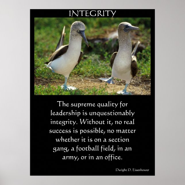 INTEGRITY Posters (Front)