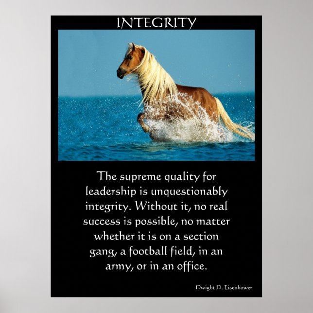 INTEGRITY Posters (Front)
