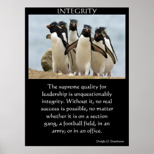 INTEGRITY Posters 21