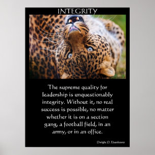 INTEGRITY Posters 31
