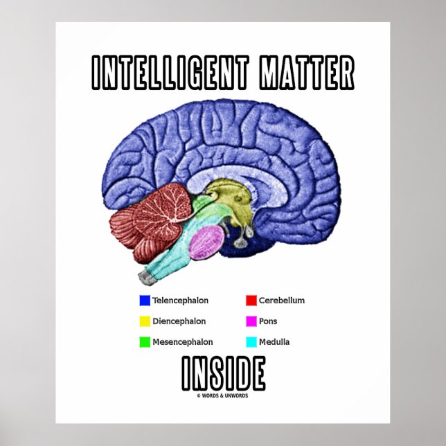 Intelligent Matter Inside (Anatomical Brain Humour Poster (Front)