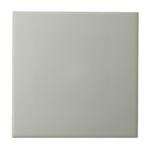 Intense Austere Grey Square Kitchen and Bathroom Tile