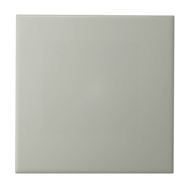 Intense Austere Grey Square Kitchen and Bathroom Tile (Front)