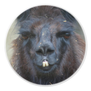 Intense Black Llama Face Close Up Ceramic Knob