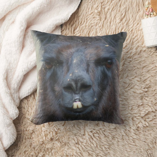 Intense Black Llama Face Close Up  Throw Pillow (Blanket)