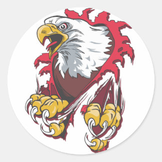 Intense Eagle Classic Round Sticker