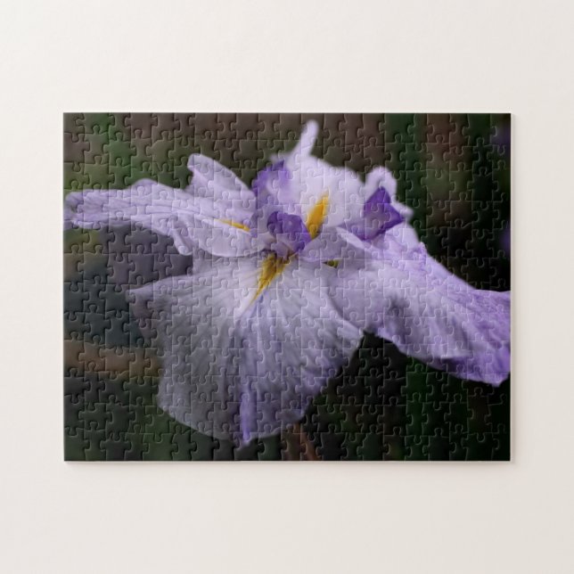 Intense Japanese Iris Flower Jigsaw Puzzle (Horizontal)
