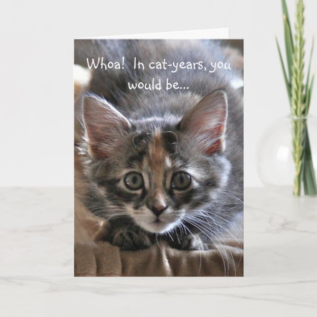 Intense Kitten Bonne carte d'anniversaire (Devant)