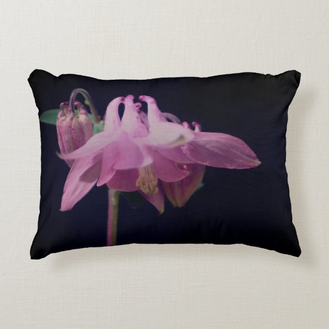Intense Pink Columbine Flower Close Up  Accent Pillow (Front)