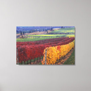 Intense red and yellow fall colours on Gehring Canvas Print