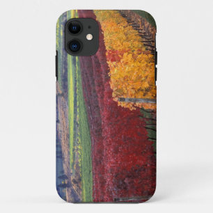 Intense red and yellow fall colours on Gehring iPhone 11 Case