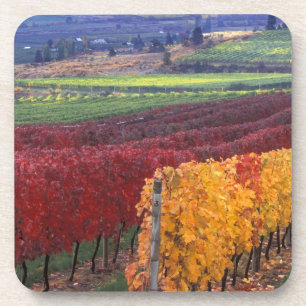 Intense red and yellow fall colours on Gehring Coaster