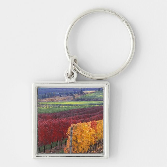 Intense red and yellow fall colours on Gehring Keychain (Front)