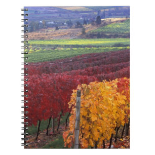 Intense red and yellow fall colours on Gehring Notebook