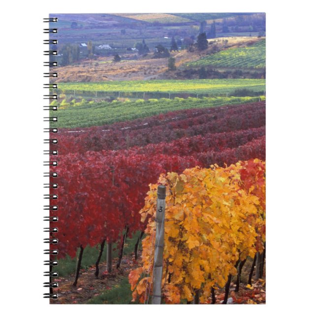 Intense red and yellow fall colours on Gehring Notebook (Front)
