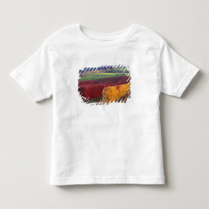 Intense red and yellow fall colours on Gehring Toddler T-shirt