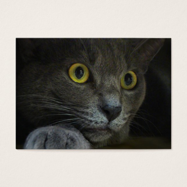 Intensity Bookmarks (Front)