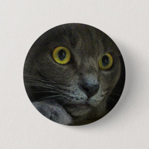 Intensity Button