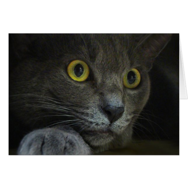 Intensity Card (Front Horizontal)