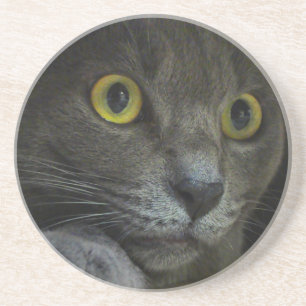 Intensity Coaster