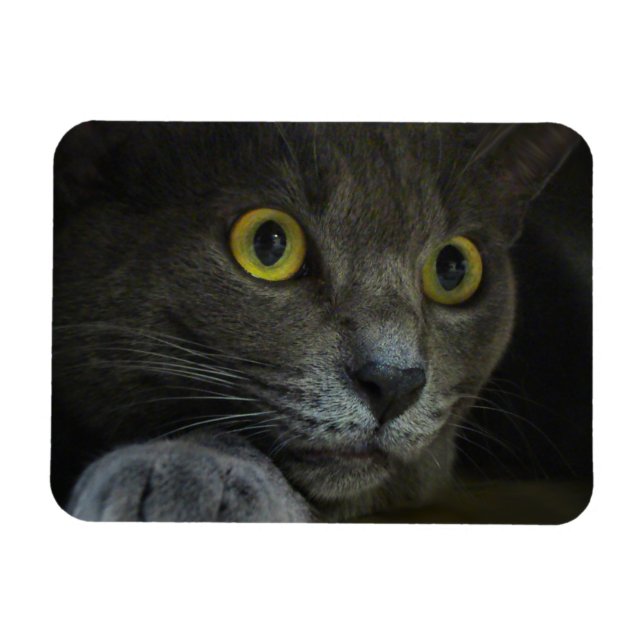 Intensity Flexible Magnet (Horizontal)