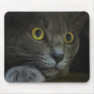 Intensity Mousepad