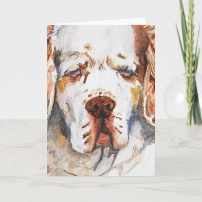 Intent - Clumber Spaniel greeting card (Front)