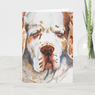 Intent - Clumber Spaniel greeting card