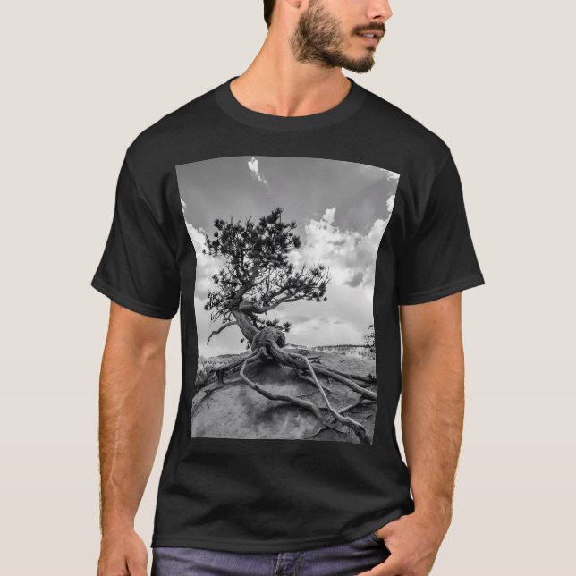 Interesting Pine Tree On Queens Garden Trail T-Shirt (Front)