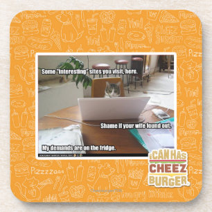 Interesting sites coaster