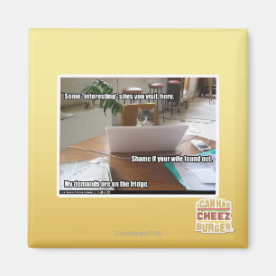 Interesting sites magnet