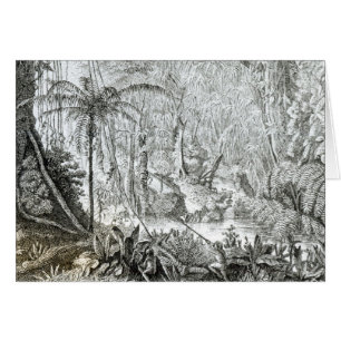 Intérieur d'une forêt primitive dans les Amazone