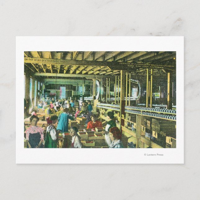 Interior View of Flickenger's Orchard Cannery Postcard (Front)