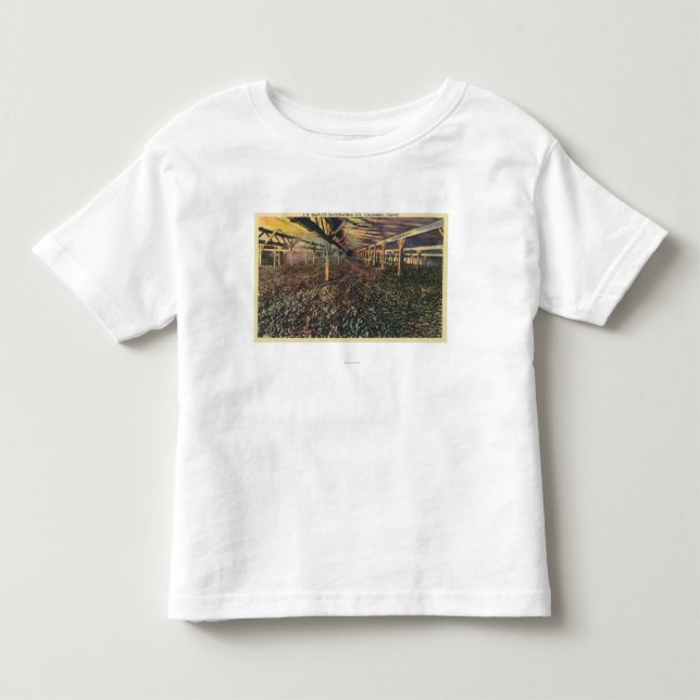 Interior View of the JR Simplot Dehydrating Co Toddler T-shirt (Front)